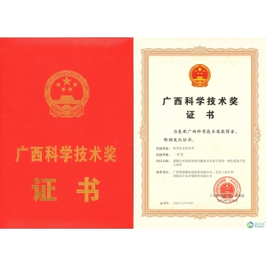 廣西科學技術獎科技進步類一等獎